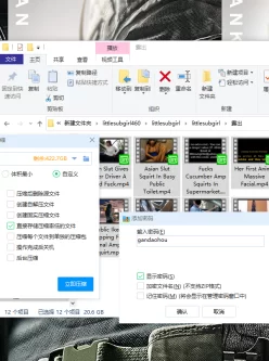 <b style='color: red;'>[已失效] </b>【申精】自己打包的 littlesubgirl 露出小合集 ［12v 20.6g］［百度云］