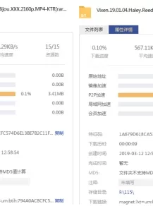 VIXEN系列：高颜值 欧美 最全合集[204V1449G][磁力链接]